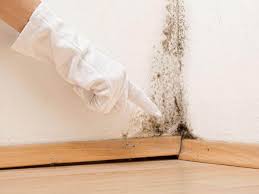 Best Mold Removal for HVAC Installations in Pagedale, MO